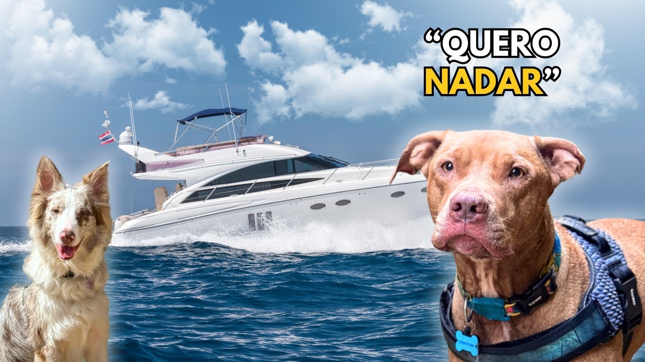 Aventura Em Capitólio - MG | Passeio De Lancha + Cachoeiras Secretas 🚤
