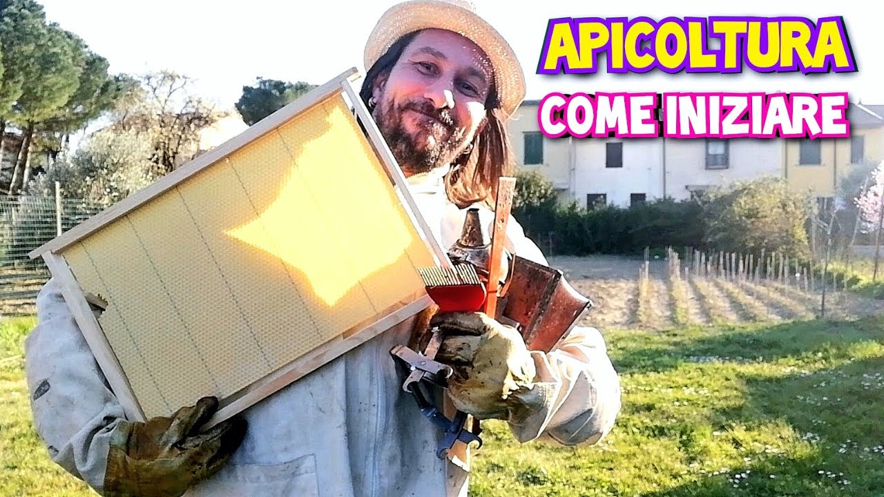 Iniziare con l'apicoltura - strumenti, cosa serve e procedure di base.