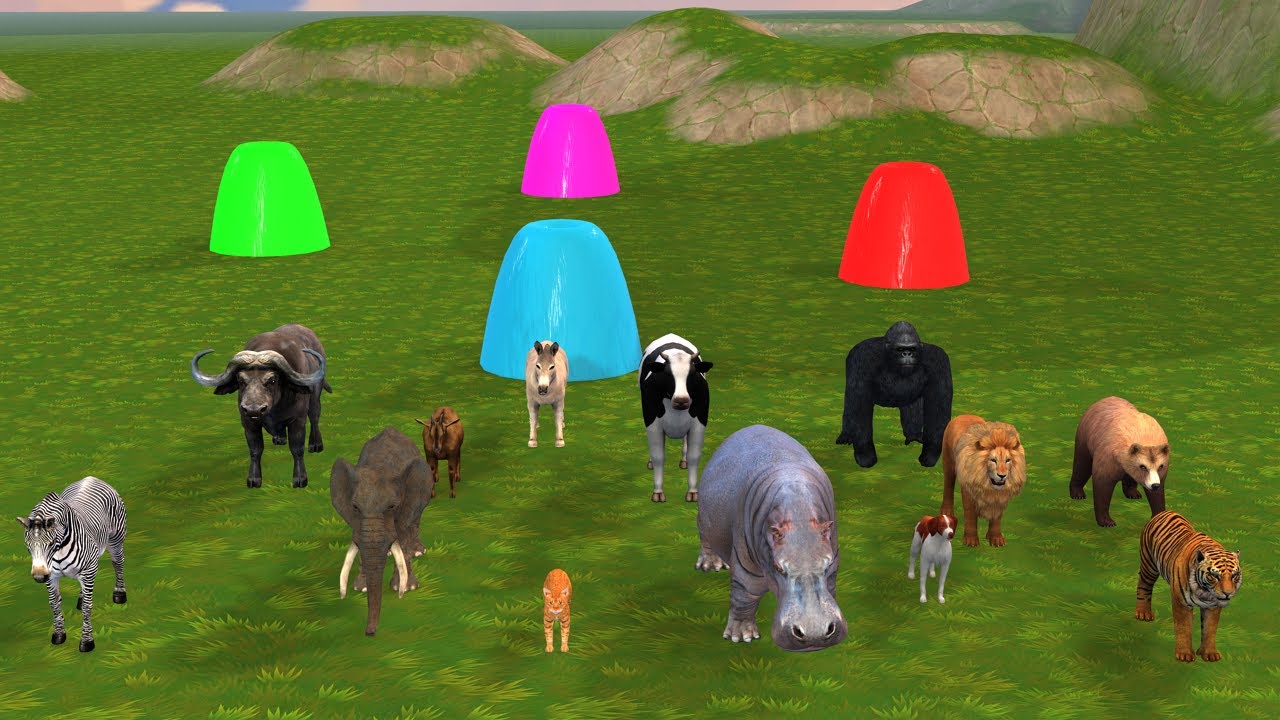 Lion Tiger Gorilla Rex Zebra and other Wild Animals Crossing the Fountain and Escaping Game