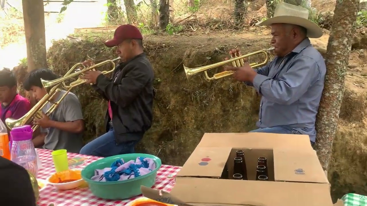 🎶😱🎶MIRA ESTE TROMPETISTA QUE MANERA DE TOCAR - LE TIENE UN GRAN AMOR A LA MÚSICA 🎶😱🎶