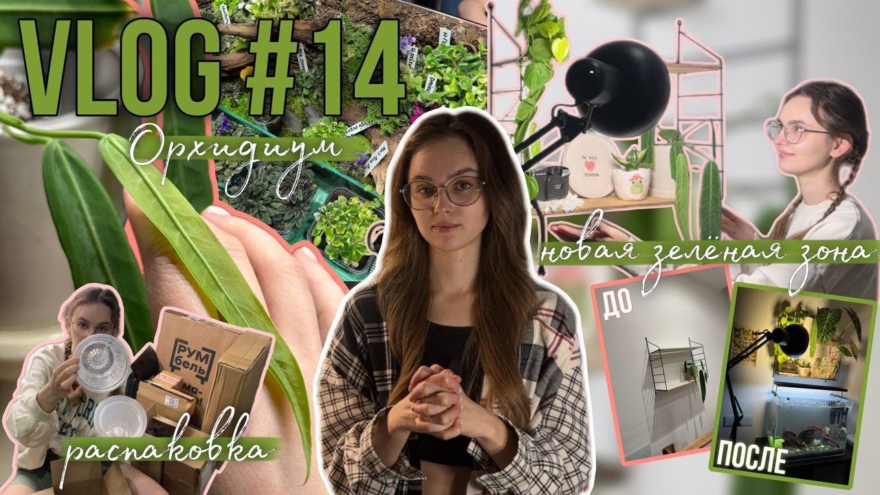 Цветочный VLOG #14 || ДЕЛАЮ НОВУЮ ЗЕЛЁНУЮ ЗОНУ | распаковка, борьба с трипсом, Орхидиум 🌱