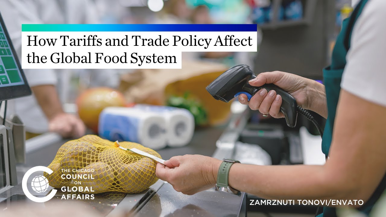 How Tariffs and Trade Policy Affect the Global Food System
