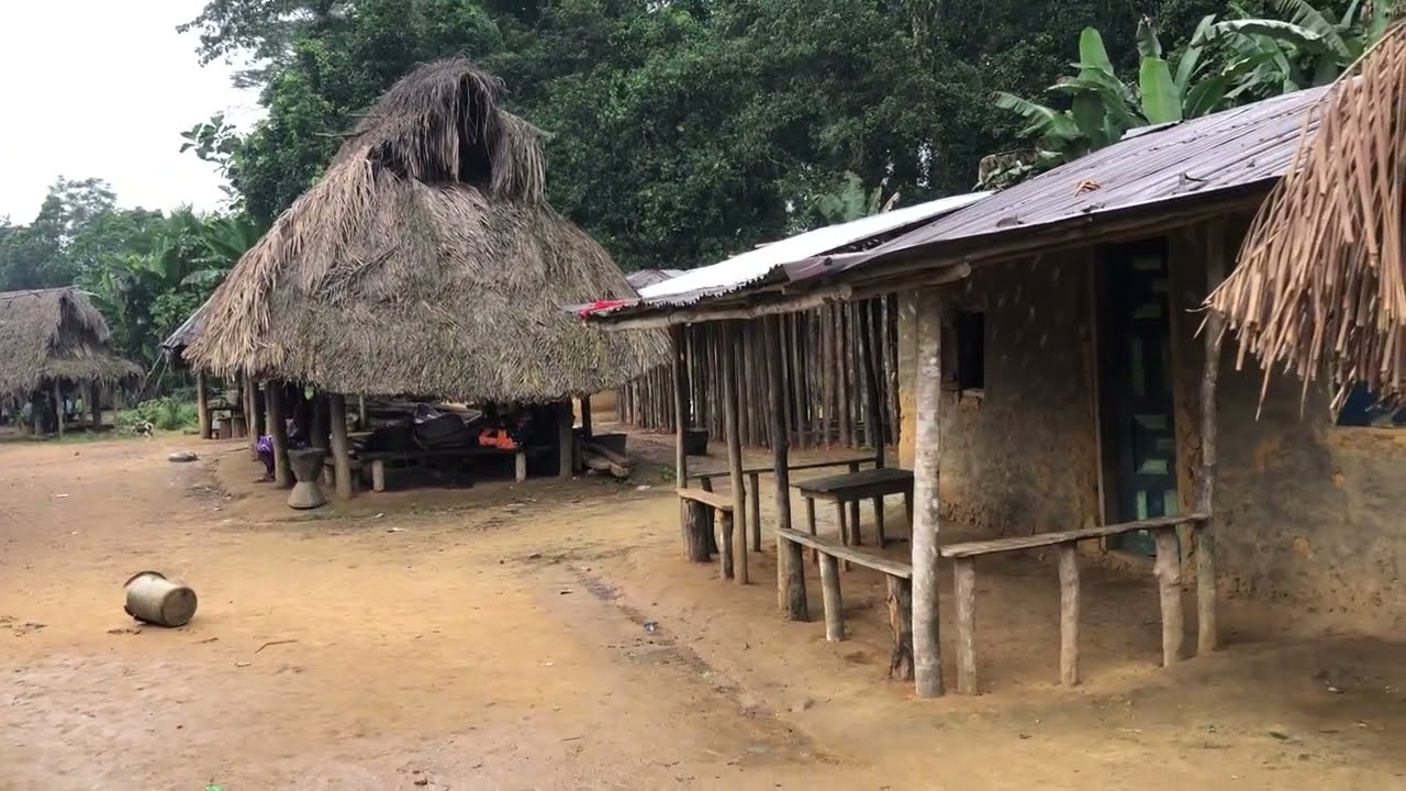 This is How Liberian village Looks in 2023 Liberia, West Africa
