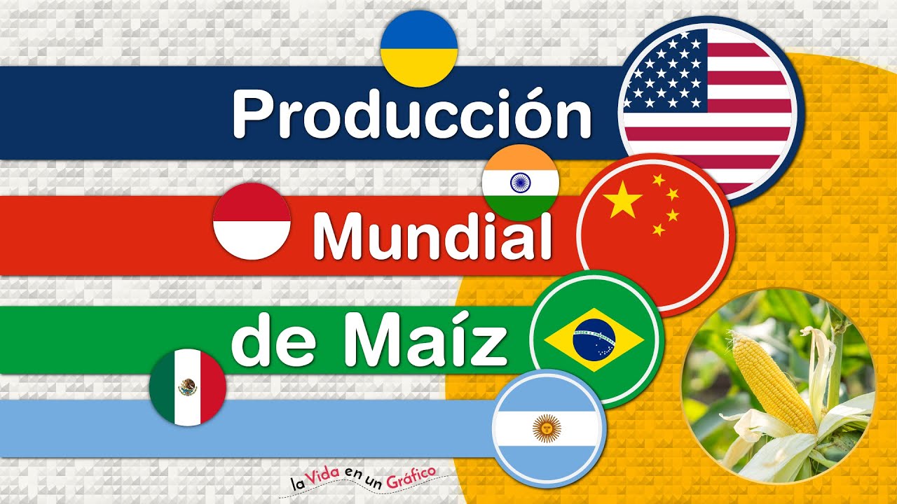 Producción Mundial de Maíz, Principales Importadores y Exportadores