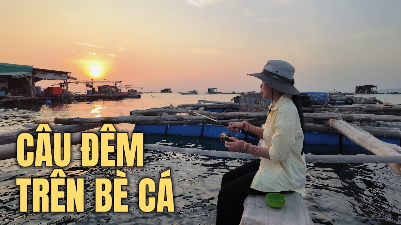 Khám phá bè nuôi cá tiền tỉ ở biển Phú Quốc. Câu mực đêm tại nhà bè.