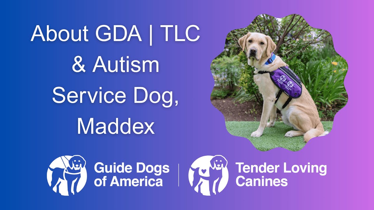 GDA | TLC About Us with Autism Service Dog Interview