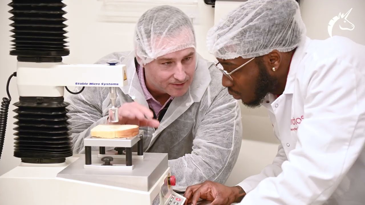 High-Quality Baking Solutions for High-Speed Production