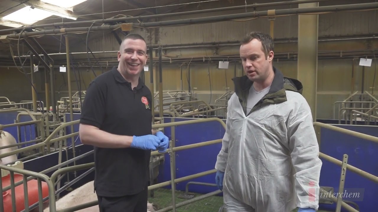 Precision Microbes Swine Series - From Birth to Bacon