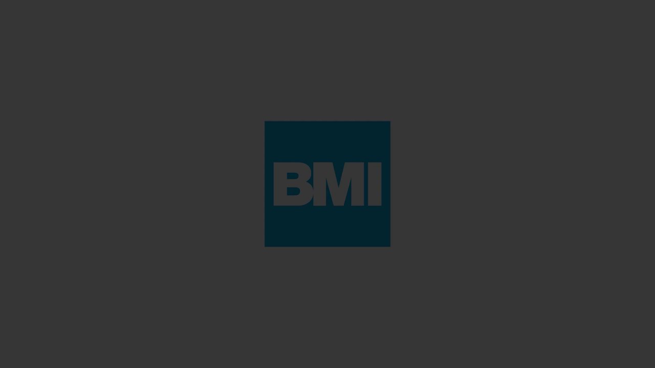 Pagrindinės funkcijos - BMI skaičiuoklė