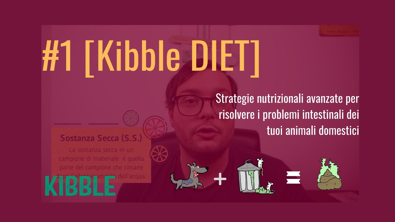 #1 Diarrea nel cane e nel gatto: come risolverla e come confrontare il contenuto di due mangimi.