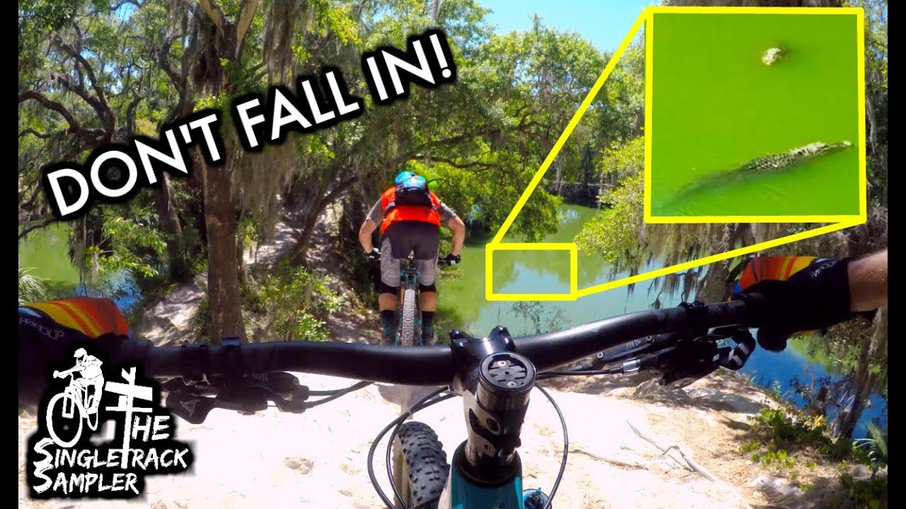 You DO NOT Want to Fall Off These Trails  // Mountain Biking Carter Road Trails in Bartow, Florida