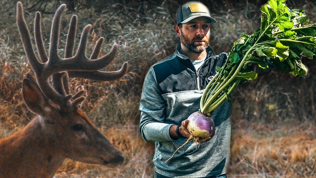 Locating Summer Bucks & My Favorite Hunting Plots