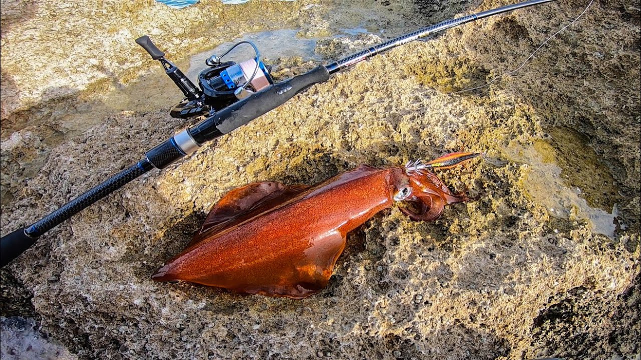 EGING: doppia cattura di CALAMARI al calasole e CONSIGLI pratici