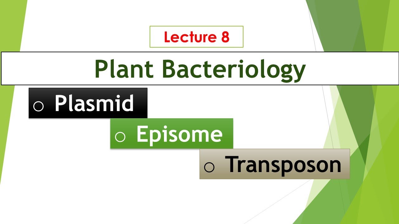 Plasmid, Episome, Transposon