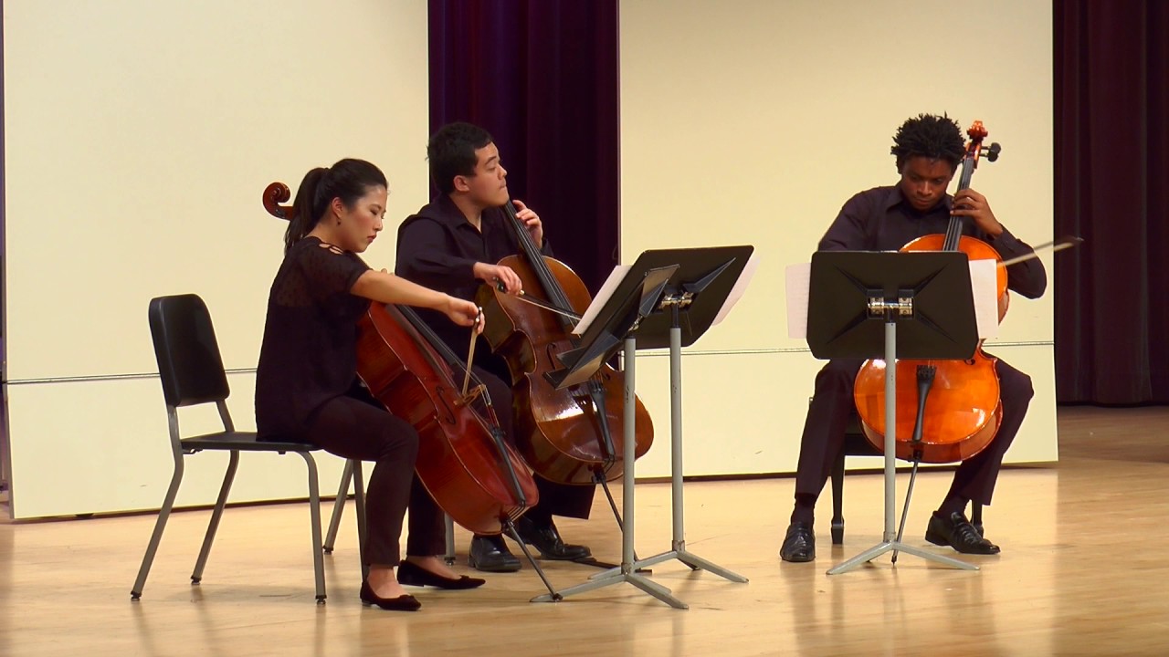 Cello Trio: Allegro - Ludwig Van Beethoven