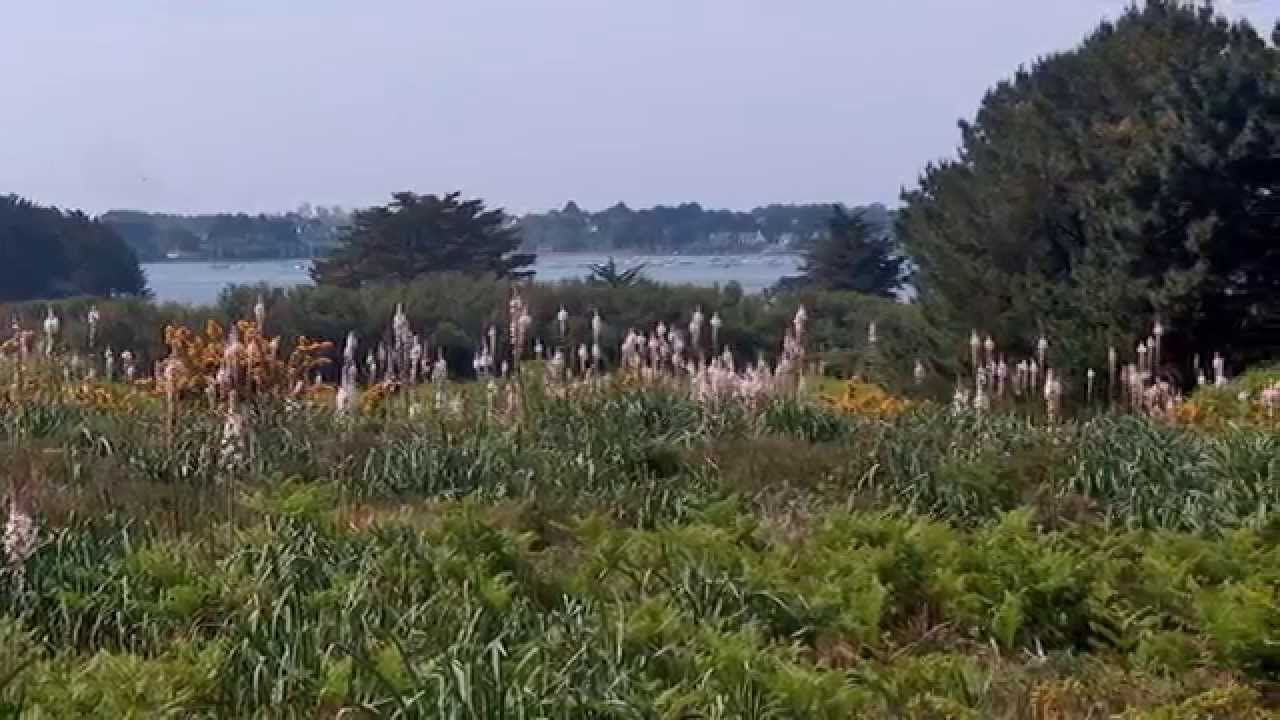 L'île-aux-moines (Morbihan)
