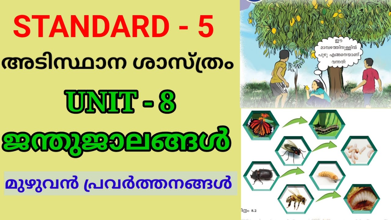 ജന്തുജാലങ്ങൾ | STD 5 BASIC SCIENCE UNIT 8 | CLASS 5 CHAPTER 8 JANTHUJAALANGAL