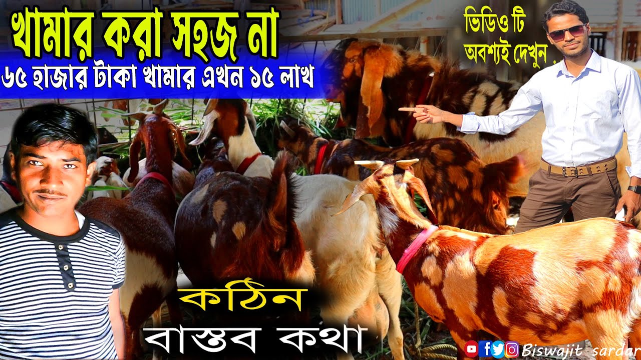 goat farming করার সময় সাধারণত একটা সমস্যার মুখোমুখি ||  তখনই বিক্রি হবে, সঠিক ওজন এবং ছাগল রোগহীন |