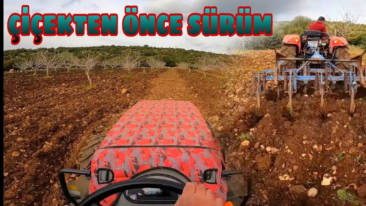 SÜRÜME ÇİÇEK DÖNEMİNDEN ÖNCE YETİŞTİM... GEÇEN YIL BASIMIZA GELENLER MALUM ...(:
