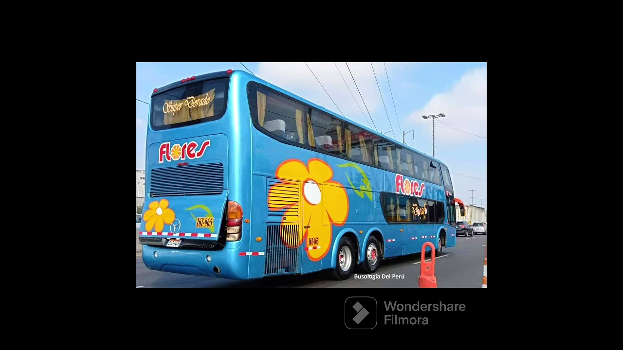 Buses ruteros del Per&uacute;