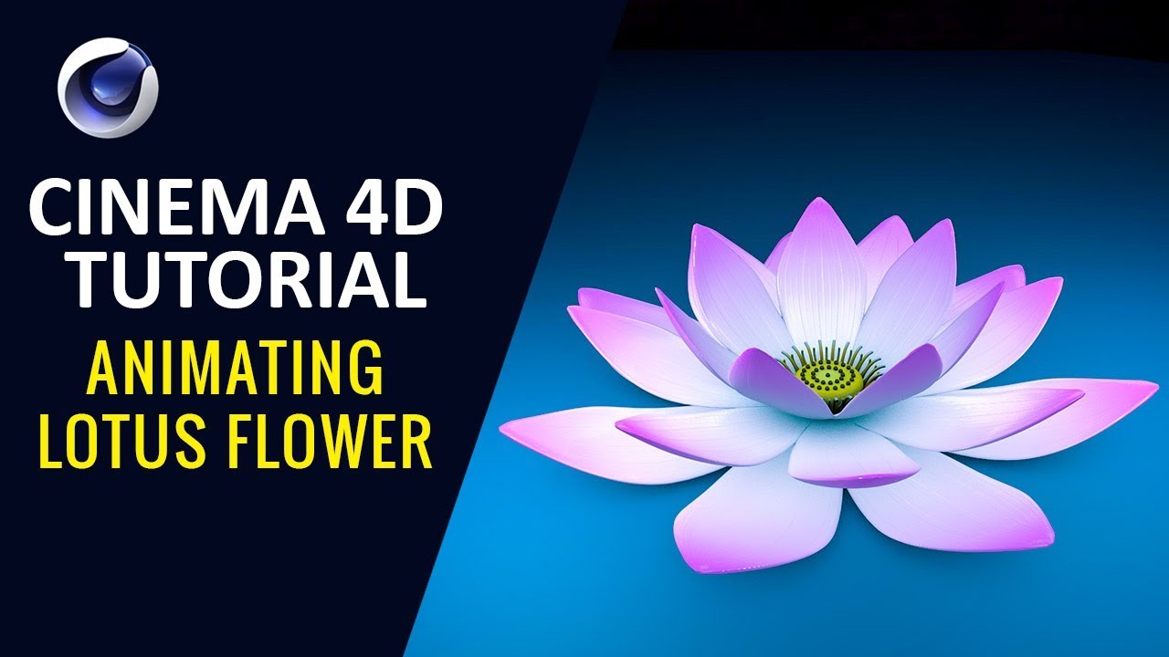 Animating Lotus Flower   Cinema 4D Tutorial