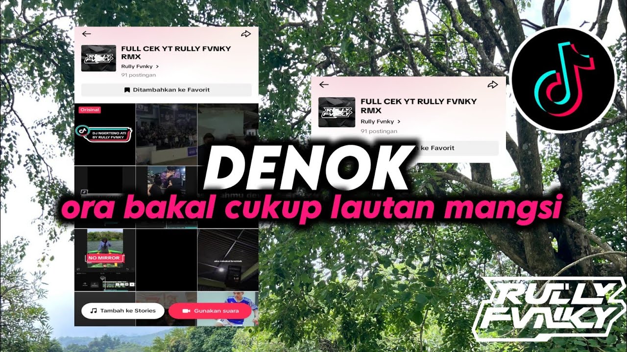 DJ DENOK | ORA BAKAL CUKUP LAUTAN  MANGSI | VIRAL FYP TIKTOK TERBARU BY RULLY FVNKY RMX