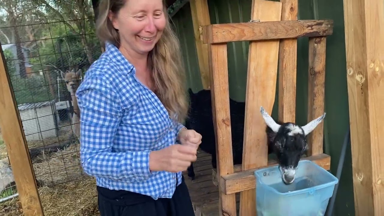Touring a Family Owned Farm in the Blue Mountains Australia