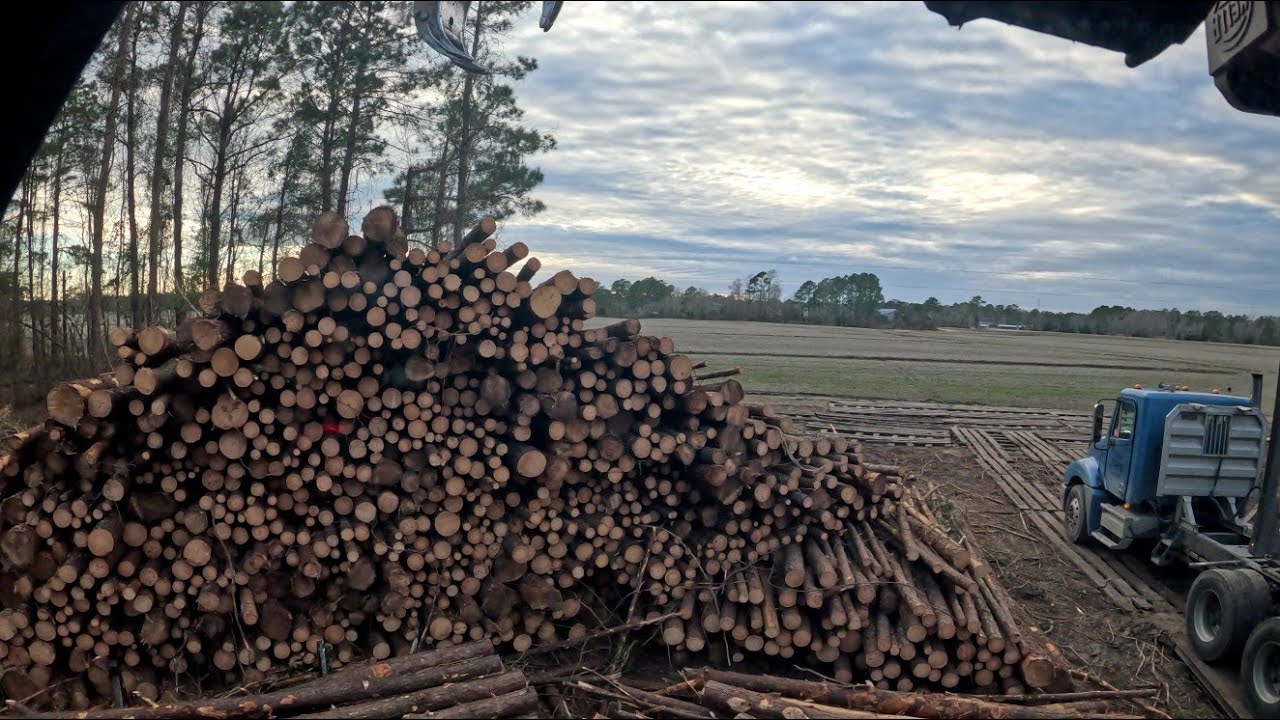 Heavy Equipment Logging Operation
