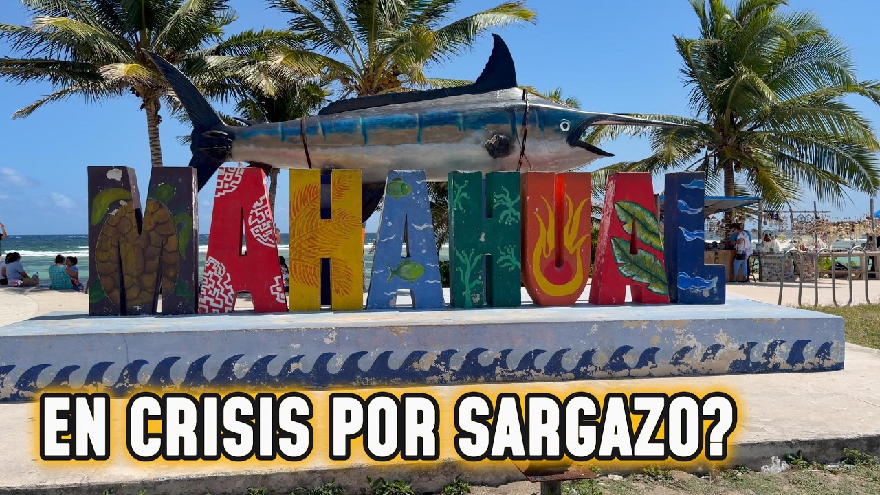 MAHAHUAL EN CRISIS POR LA LLEGADA DE MUCHO SARGAZO?