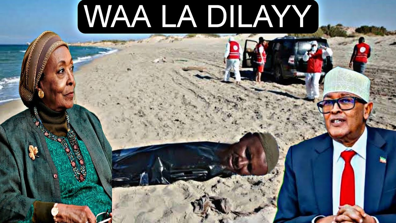 Daawo Sargaal Daac'sh oo Dacawaaley kasoo Dagaalay oo Hargeysa lagu Dilayy ciro ayaa Adeer u ah.