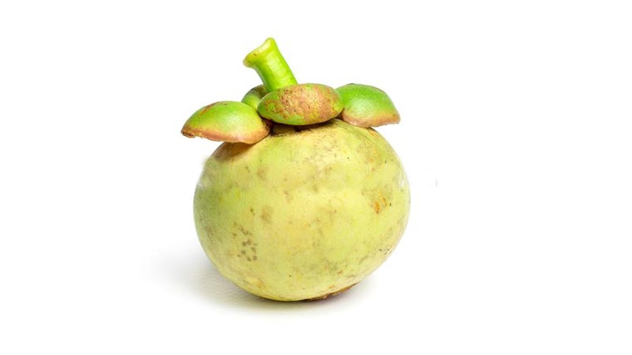 Mangosteen Time-lapse