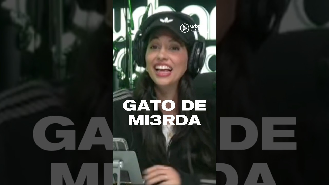 MANDAR UN AUDIO SALE MAL 🐈🫣 #OlvidateDeTodo