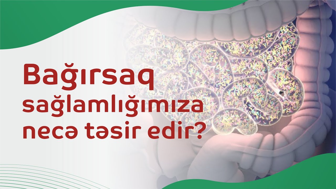 Bağırsaq mühiti və fəaliyyəti sağlamlığımıza necə təsir edir?