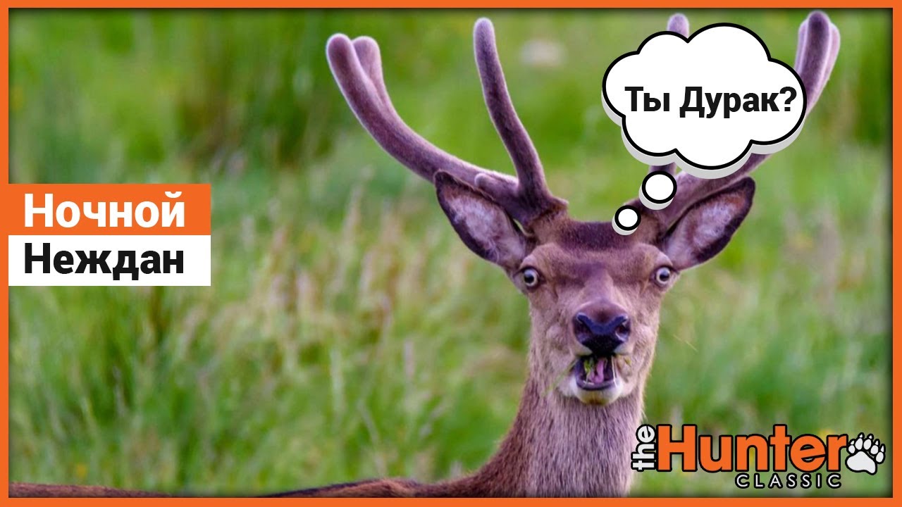 Ночной Неждан в theHunter Classic !