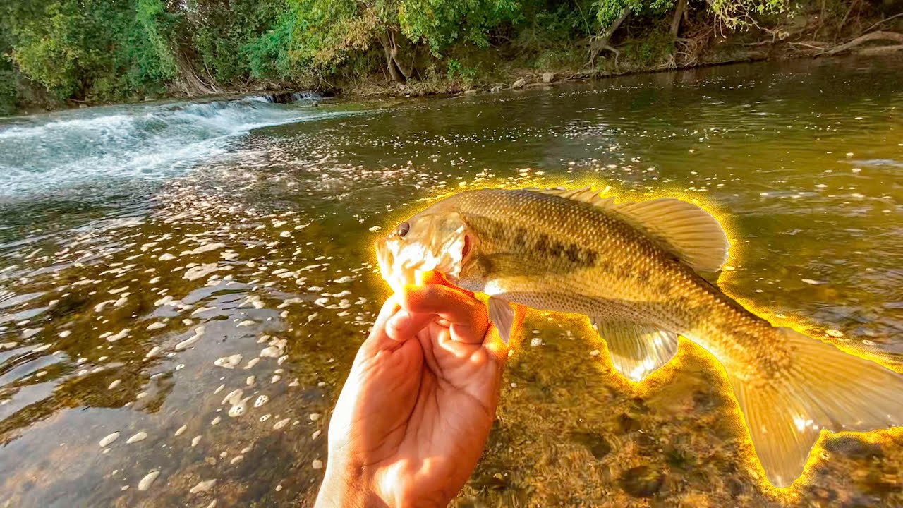 Secret waterfall has beautiful SPOTTED BASS (Clear Creek Fishing)