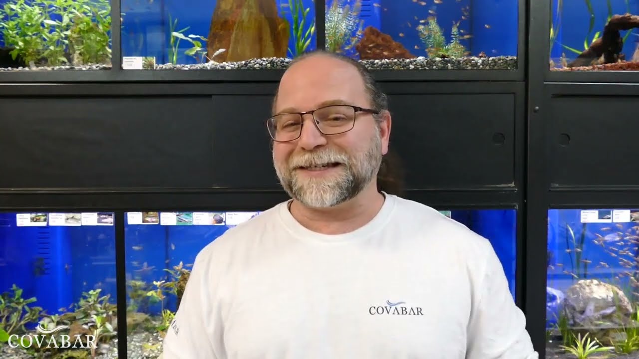 Formation Aquariophile