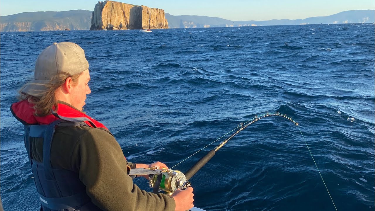 Barrel bluefin tuna tasmania. Eaglehawk neck
