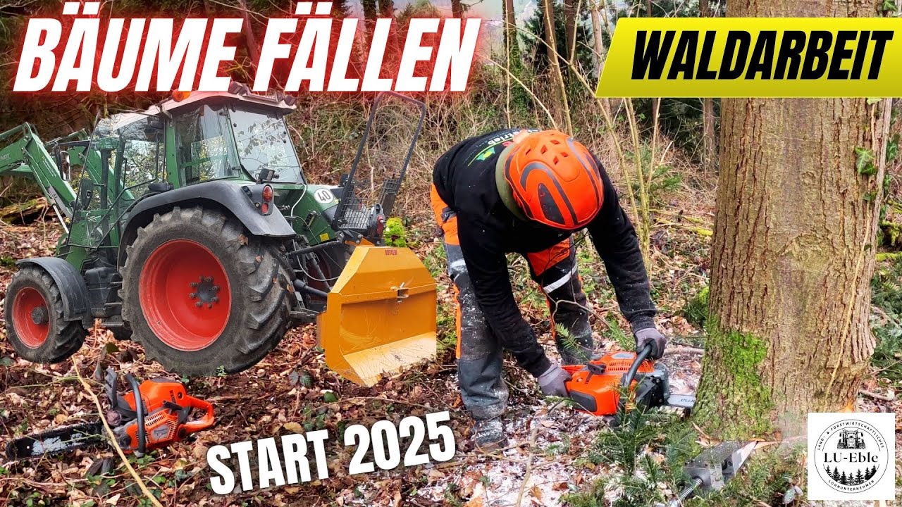 Waldsaison 2025 startet! 🌲🔥 Bäume fällen & Brennholz machen