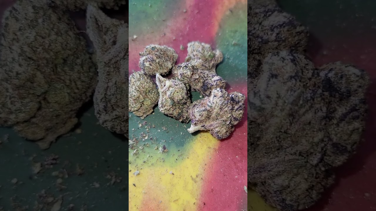 Berry Gelato