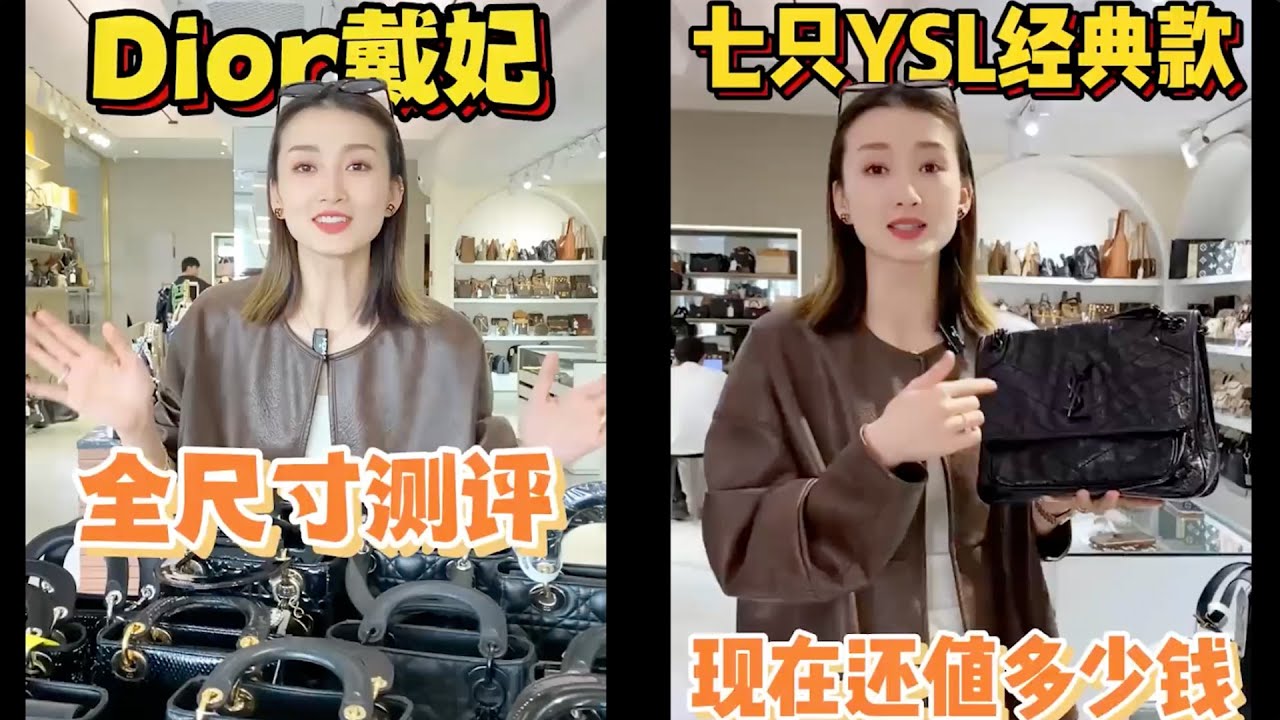 【聊轻奢】奢侈品包包～Dior戴妃与YSL经典款测评#Dior #包包推荐 #奢侈品包包 #Luxury #bags #Chanel #gucci #carryall #LV #奢侈品 #包包#香奈儿
