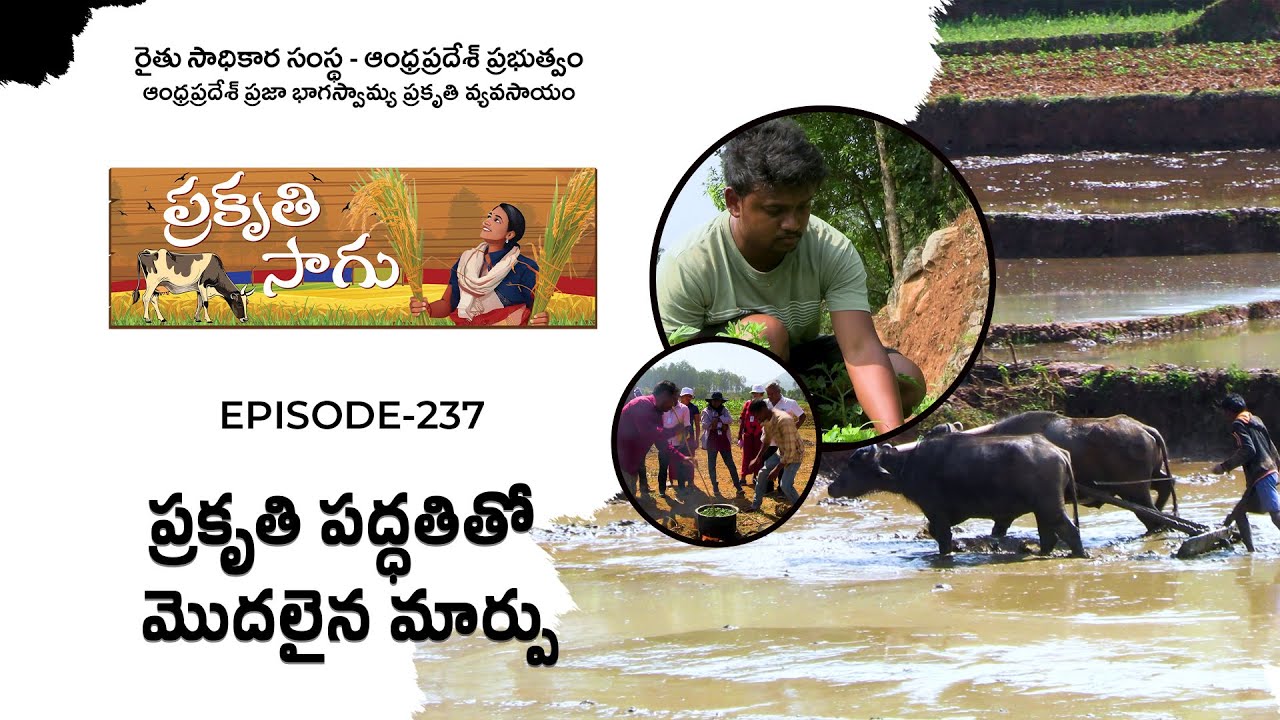 E237 | ప్రకృతి పద్ధతితో మొదలైన మార్పు | పాంగి సొన్ను | అల్లూరి సీతారామరాజు జిల్లా