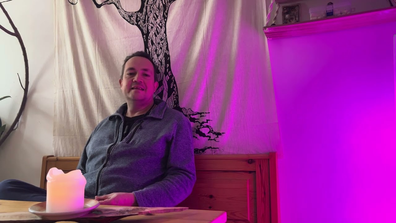 Mein Krafttier und wie du deines herausfindest 