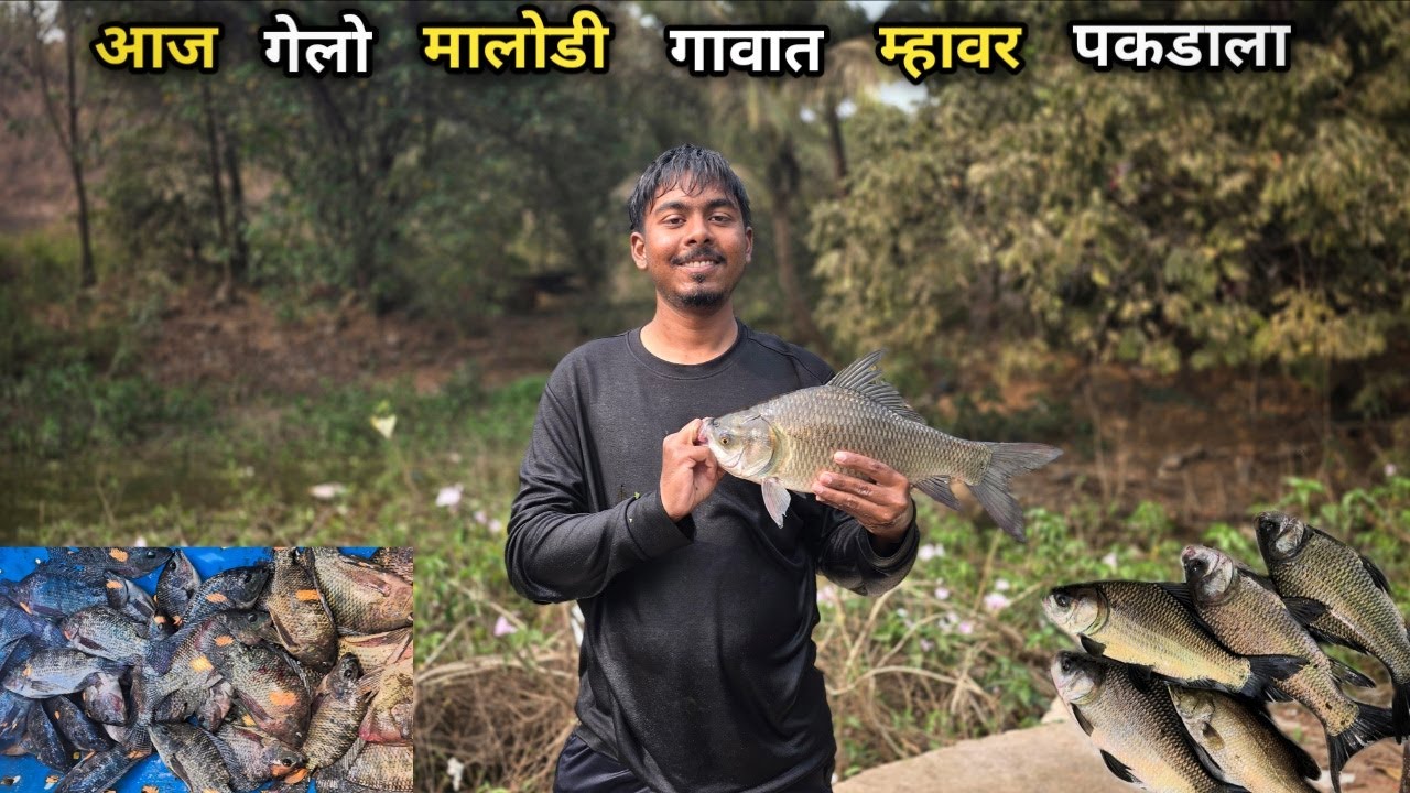 आज गेलो मालोडी गावात मोठ्या तलाव मध्ये म्हावर पकडाला 🐟🐟 | #agrikolifishing #agri #koli #fish#fishing