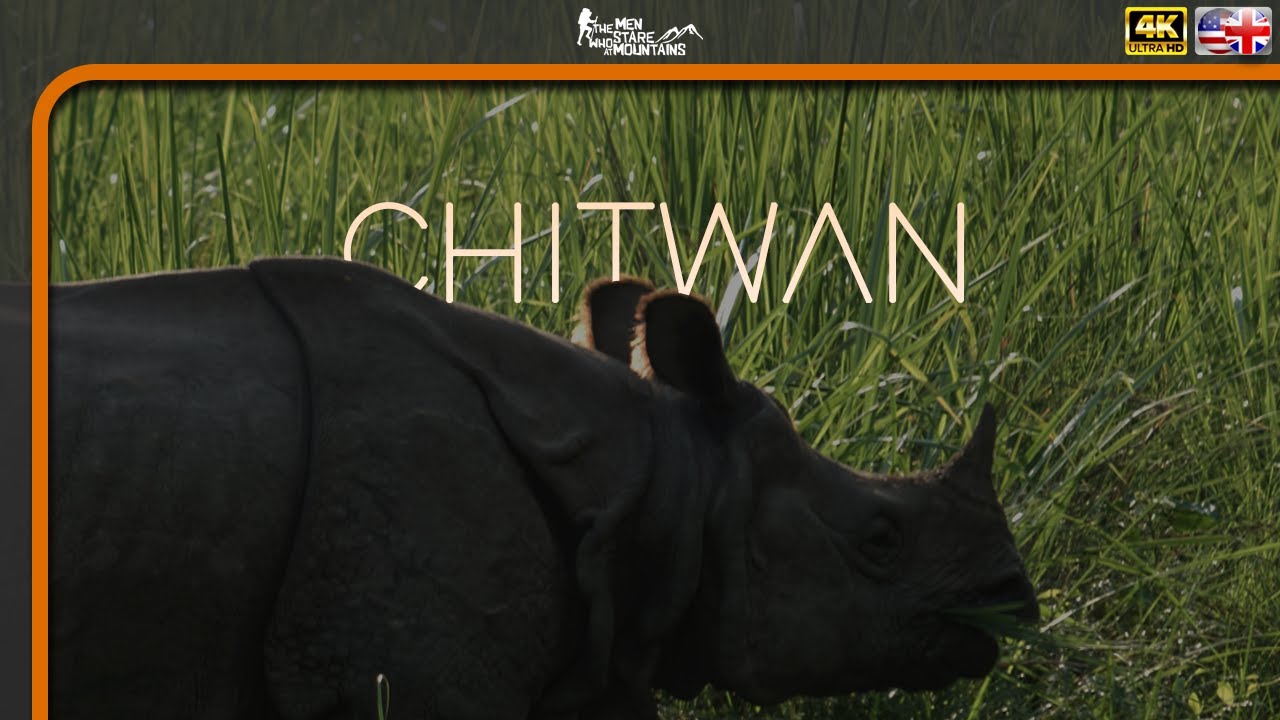 Jungle Safari in Chitwan National Park 🙊 Nepal 4K