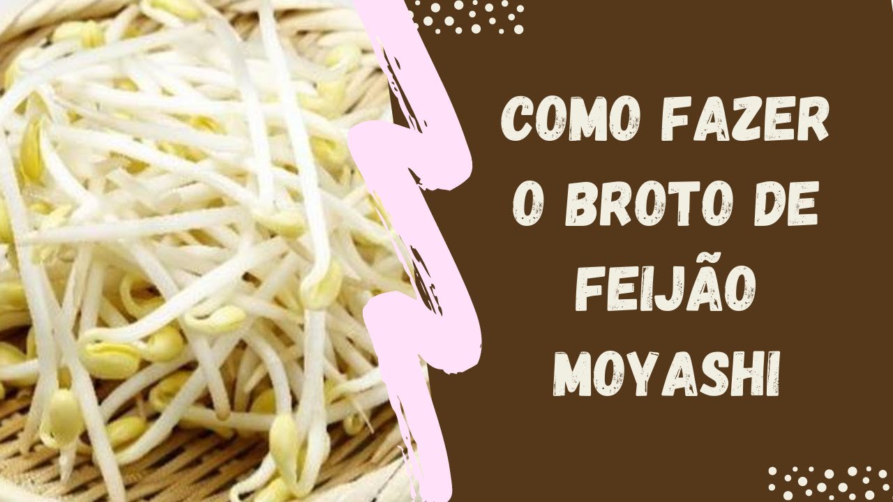 #5 - Como fazer o Broto de Feijão Moyashi
