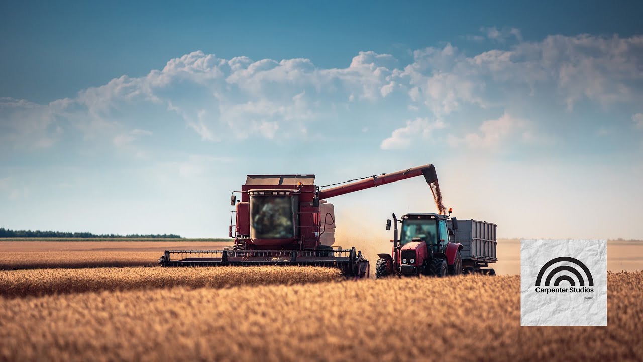 The Miracle Of The Harvest