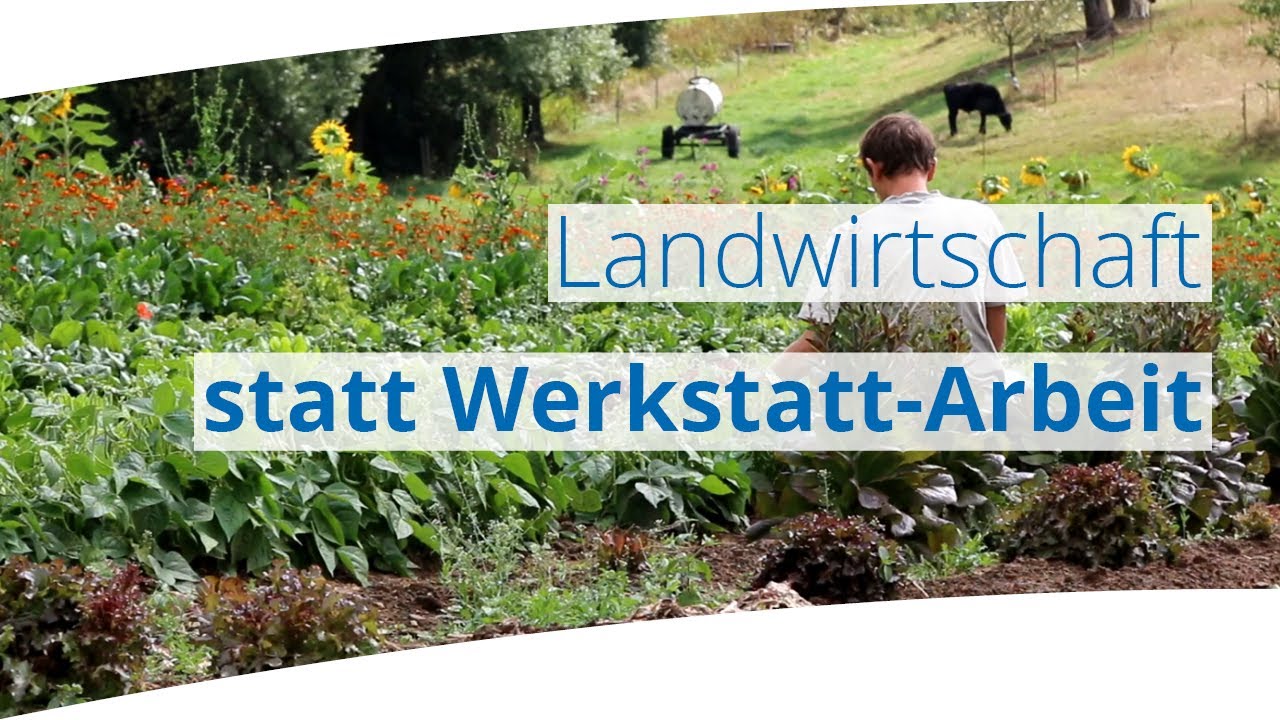 Arbeit als Mensch mit Behinderung: Was sind andere Leistungsanbieter?