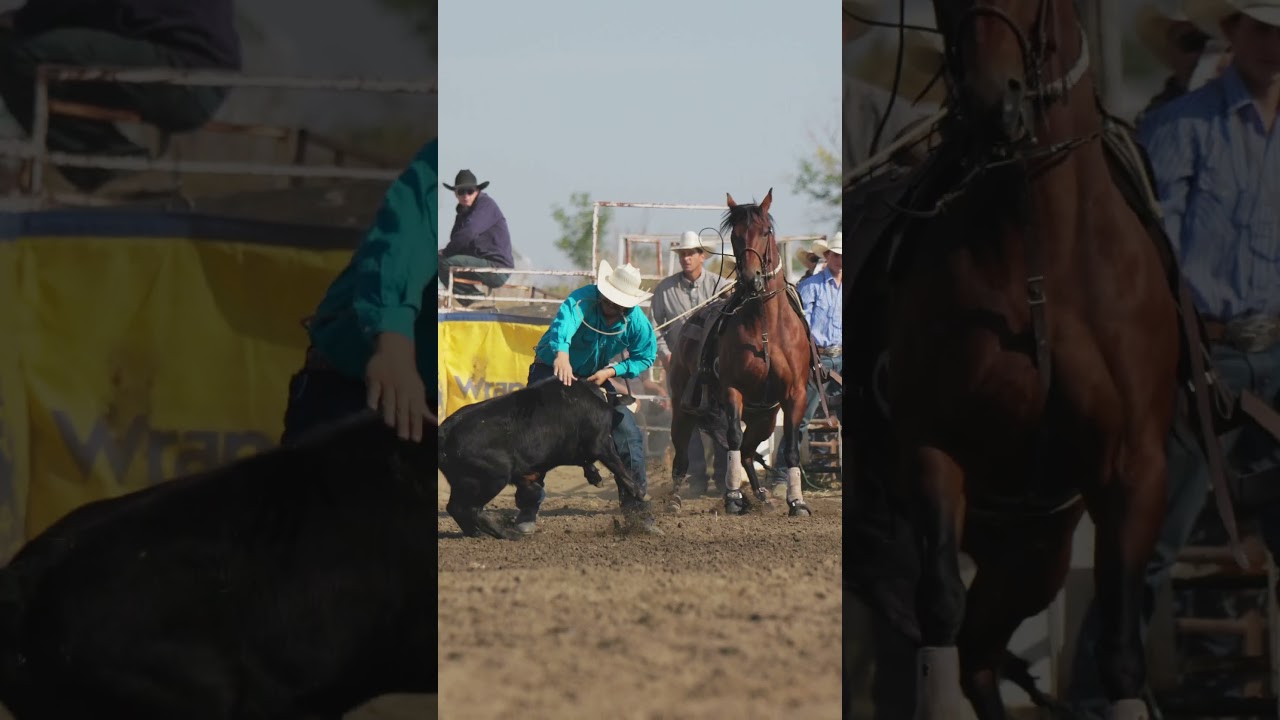 Epic Tie Down Action  #horse #rodeo  #cowboys