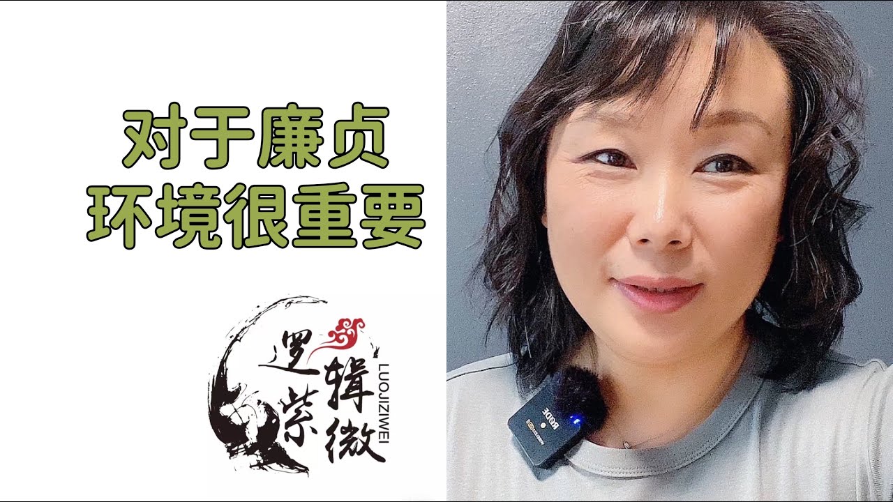 【逻辑紫微】Elisa 廉贞星智慧之星，环境对廉贞的影响非常大