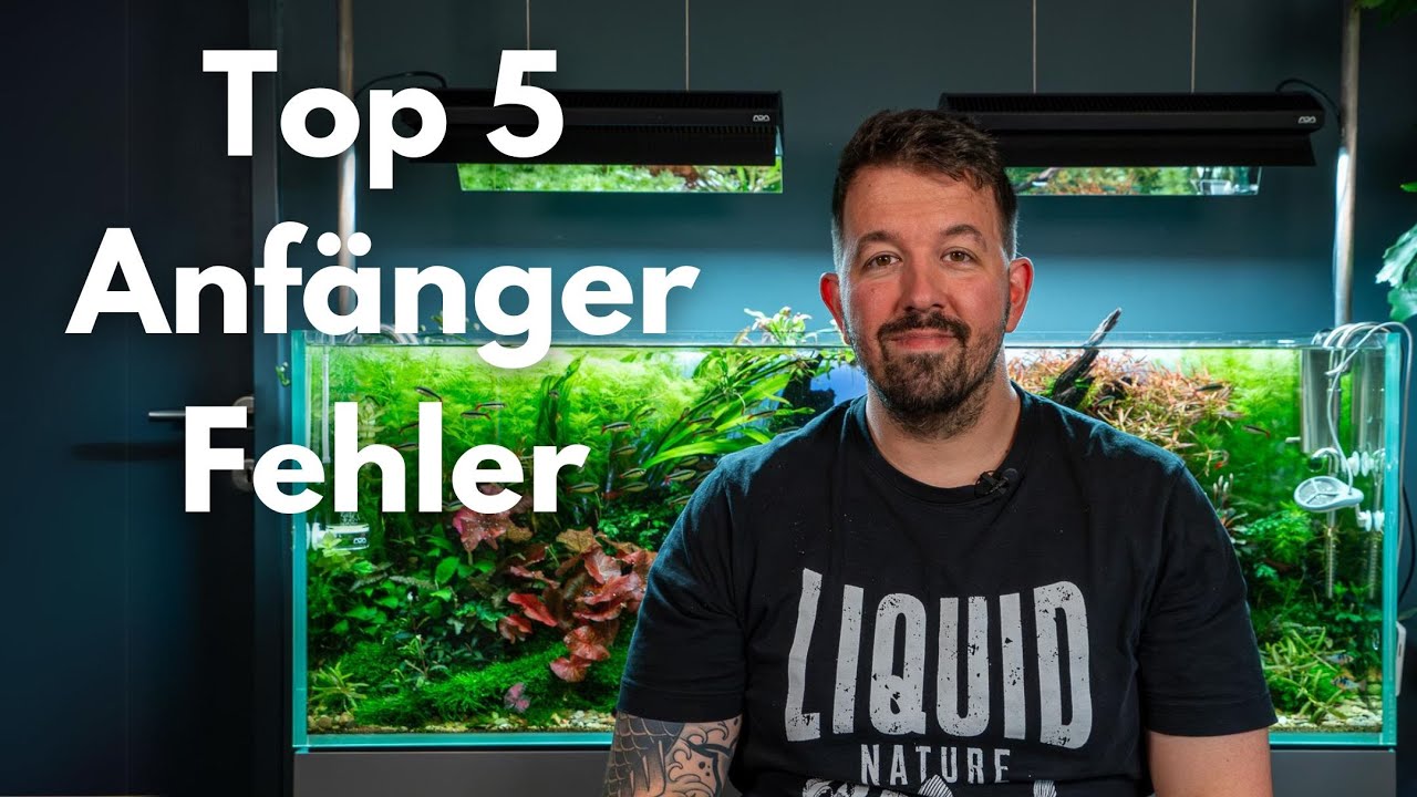 5 Fehler die Aquascaping Anfänger machen!